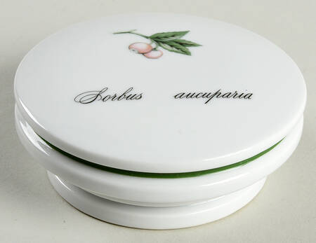 Elysian Gardens Lid for Extra Large Canister