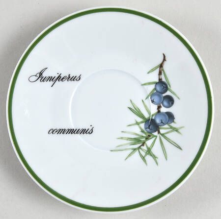 Elysian Gardens Saucer for Flat Demitasse Cup