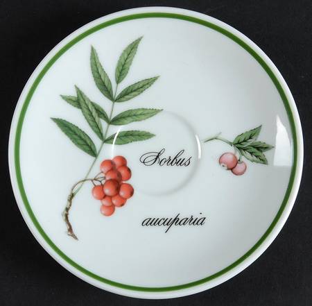 Elysian Gardens Saucer for Demitasse Cup