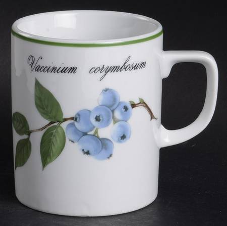 Elysian Gardens Mug