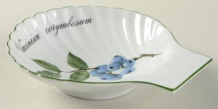 Elysian Gardens Shell Shaped Dish