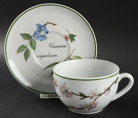Elysian Gardens Jumbo Cup & Saucer Set