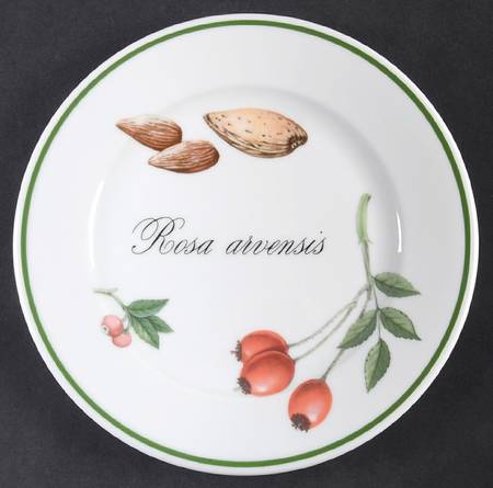 Elysian Gardens Bread & Butter Plate