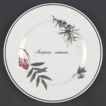 Elysian Gardens Salad Plate