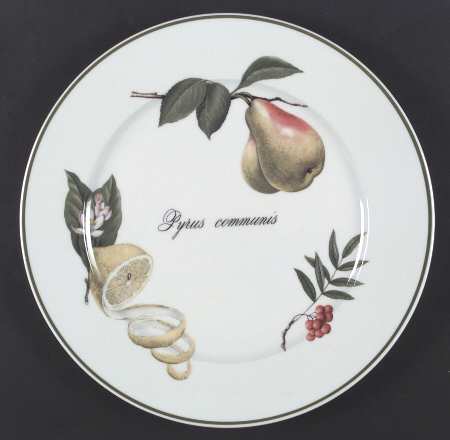 Elysian Gardens Large Dinner Plate