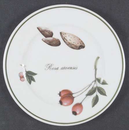 Elysian Gardens Bread & Butter Plate