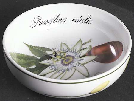 Elysian Gardens Individual Salad Bowl
