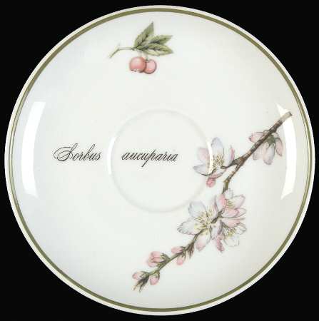Elysian Gardens Saucer