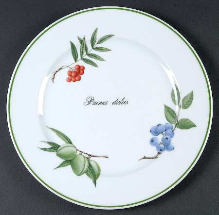 Elysian Gardens Luncheon Plate