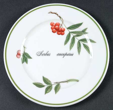 Elysian Gardens Bread & Butter Plate
