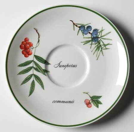 Elysian Gardens Saucer for Breakfast Cup