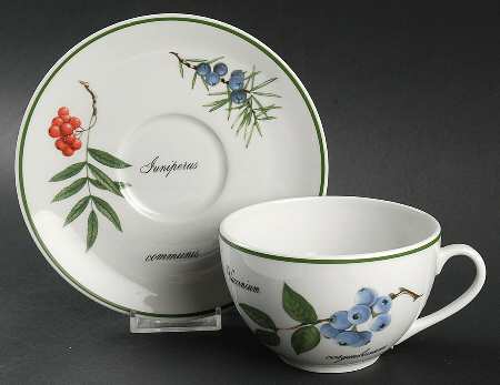 Elysian Gardens Breakfast Cup & Saucer Set