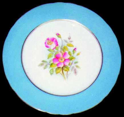 Wild Rose by John  Aynsley &amp; Sons