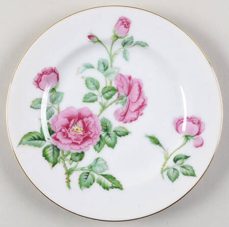 AIC14 Salad Plate
