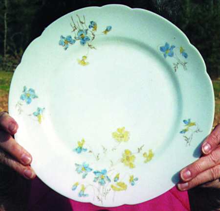 7755 Dinner Plate