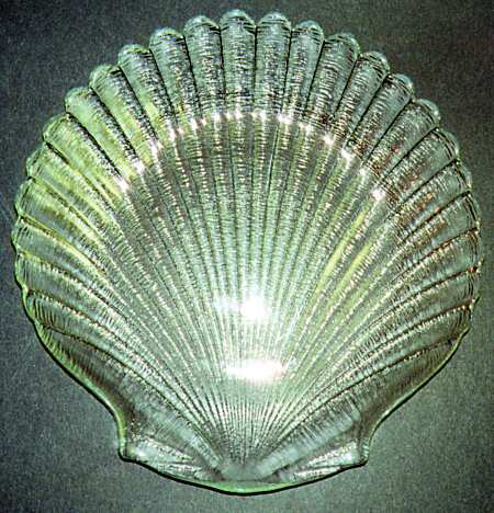 Coquillage by Arcopal
