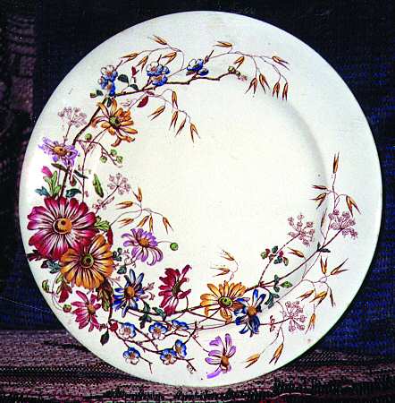 Royal Daisy by Adderley