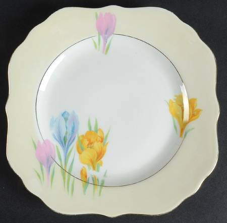 ACC5 Square Salad Plate