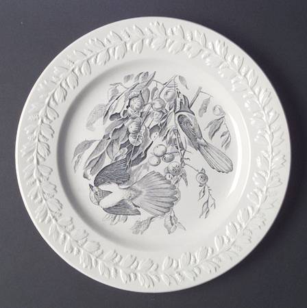 Birds of America Black Dinner Plate