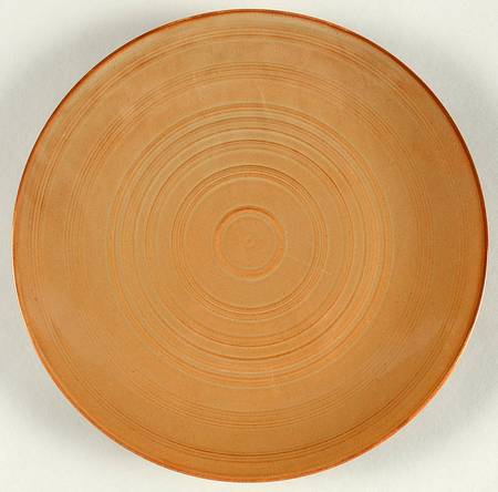 Craft Adobe Red Luncheon Plate