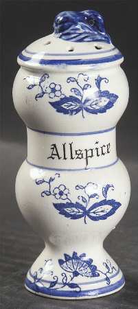 Blue Onion Spice Shaker