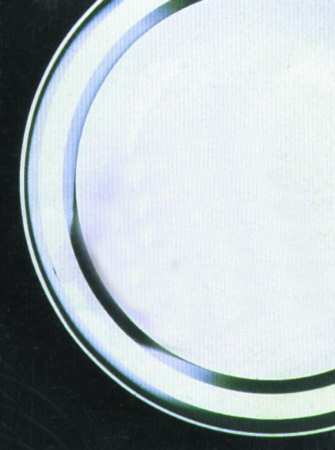 Federation Green by Australian Fine China