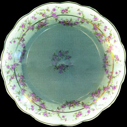 ALT228 Dinner Plate