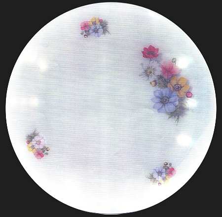 Anemone by Arcopal