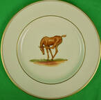 ABM1 Salad Plate