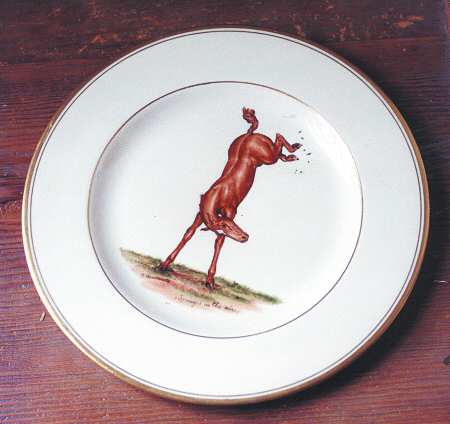ABM1 Salad Plate