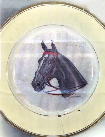 ABM1 Dinner Plate