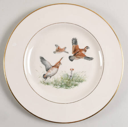 ABM4 Dinner Plate