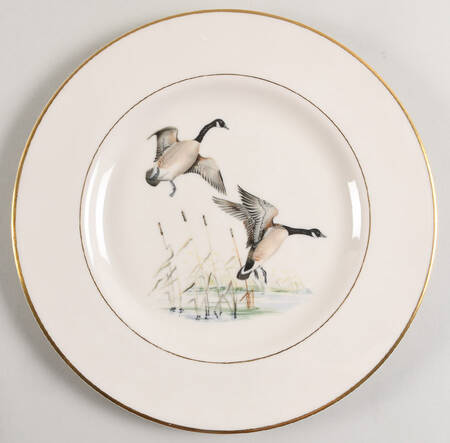 ABM4 Dinner Plate