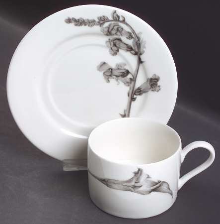 Botanica Flat Cup & Saucer Set