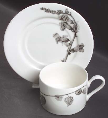 Botanica Flat Cup & Saucer Set