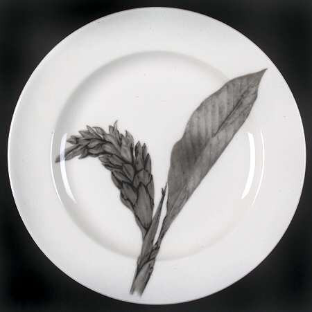 Botanica Salad Plate