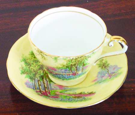 C493-7 Footed Cup & Saucer Set