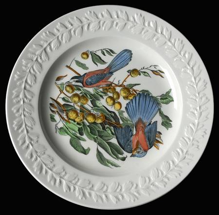 Birds of America Dinner Plate
