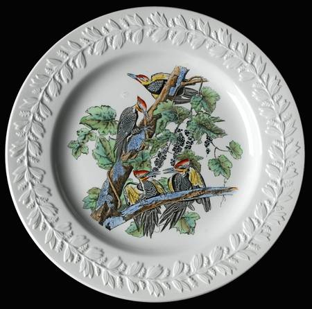 Birds of America Dinner Plate
