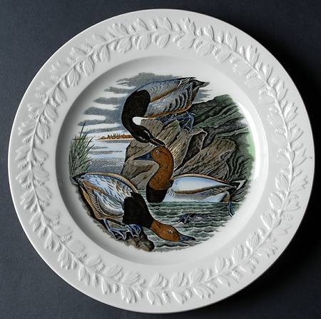 Birds of America Dinner Plate