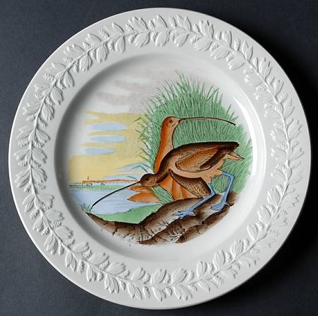 Birds of America Dinner Plate