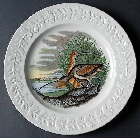 Birds of America Dinner Plate