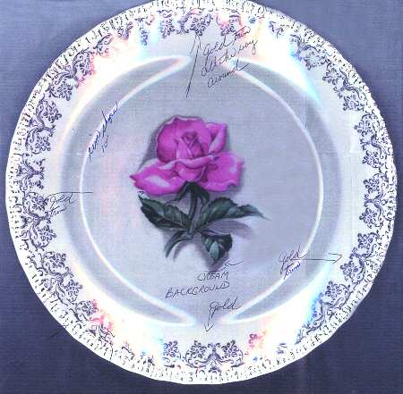 Beauty Rose by S Alexander