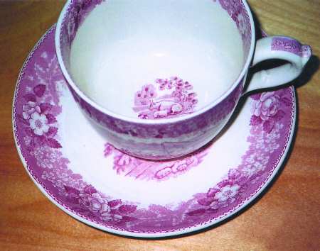 English Scenic Pink (Older, Smooth) Flat Cup & Saucer Set