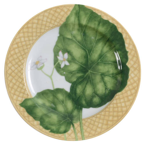 Rainforest Salad Plate