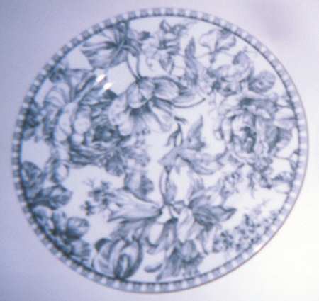 Toile Blue Dinner Plate