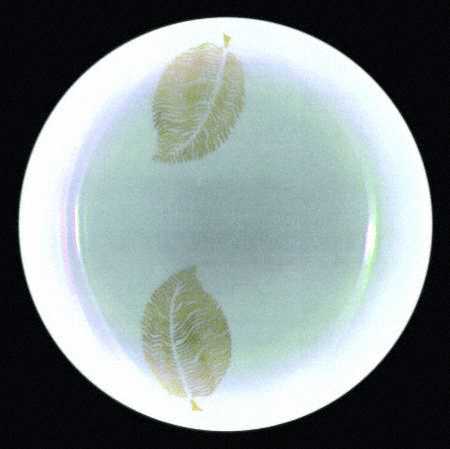 ARZ134 Bread & Butter Plate