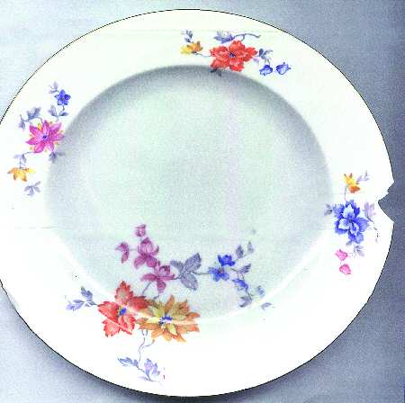 ALT401 Dinner Plate