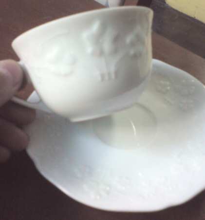 Primevere Flat Cup & Saucer Set