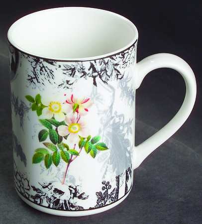 Rose Toile Mug